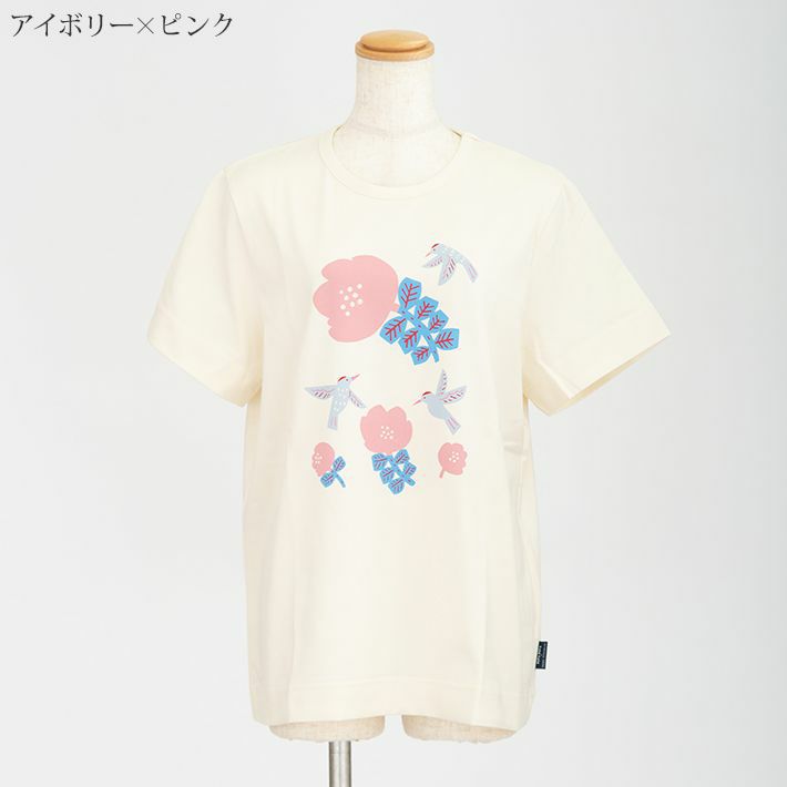 Amour】×【kata kata】 ハチドリ プリント レディース Tシャツ