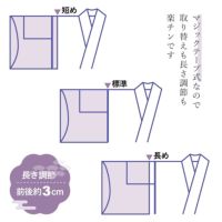 オンライン限定】さんび夢ぎぬ襦袢スリップ≪雅≫ 東レセオα